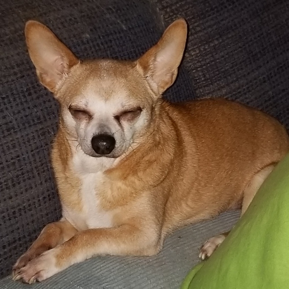 Meet your Posher, Suzanne